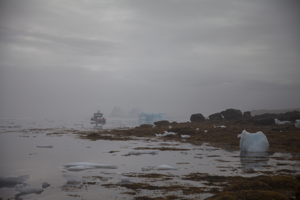 Greenland September 2024 Jesper Rosenberg Grønland